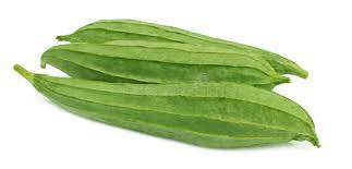 Ridge Gourd