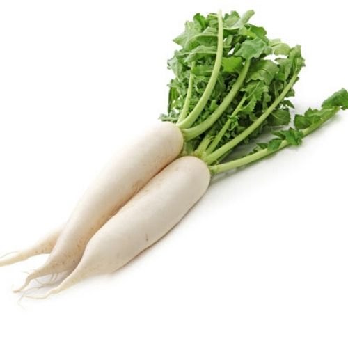White Radish