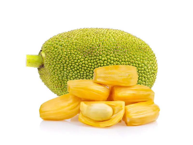Jack Fruit