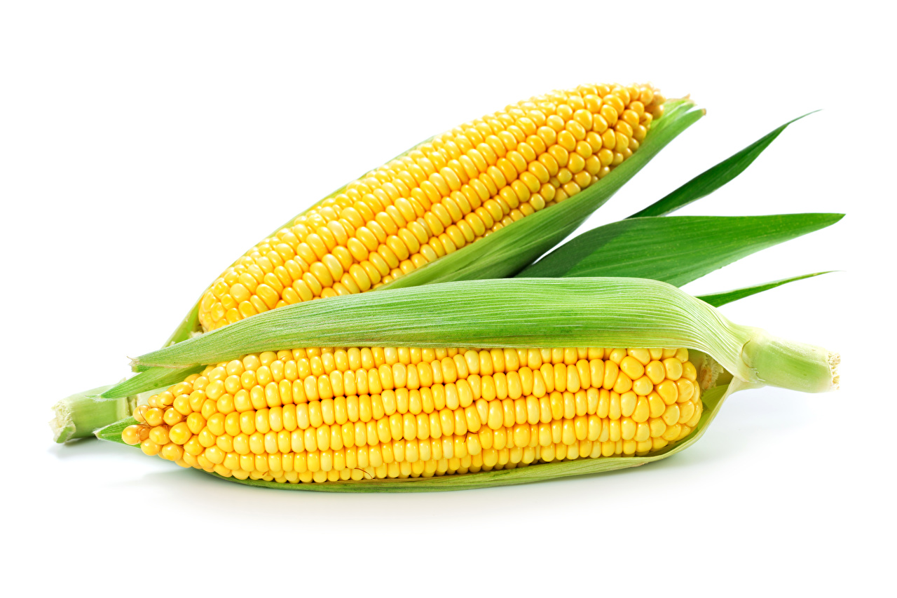 Corn