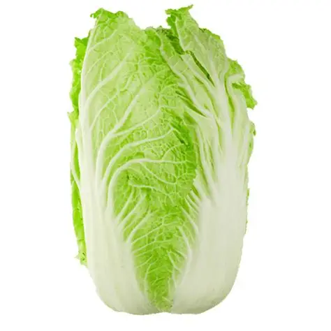 Chinese Cabbage