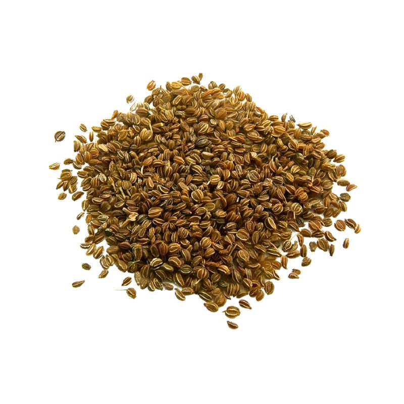 Celery Seeds