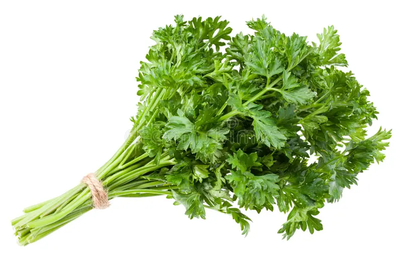 Parsley