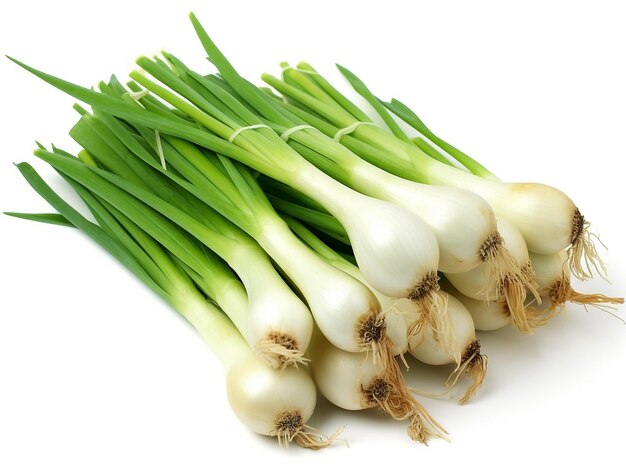 Spring Onion