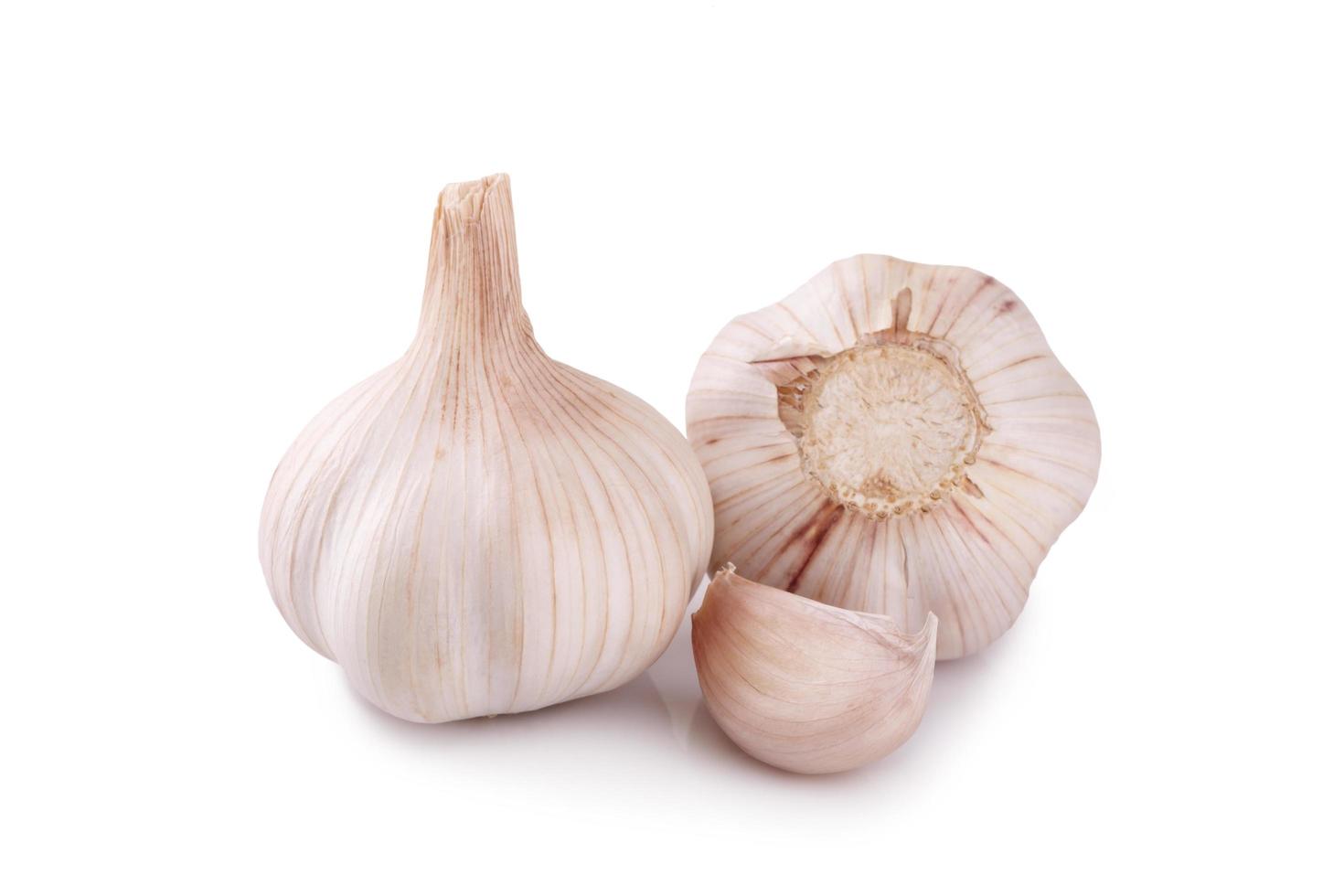 Garlic