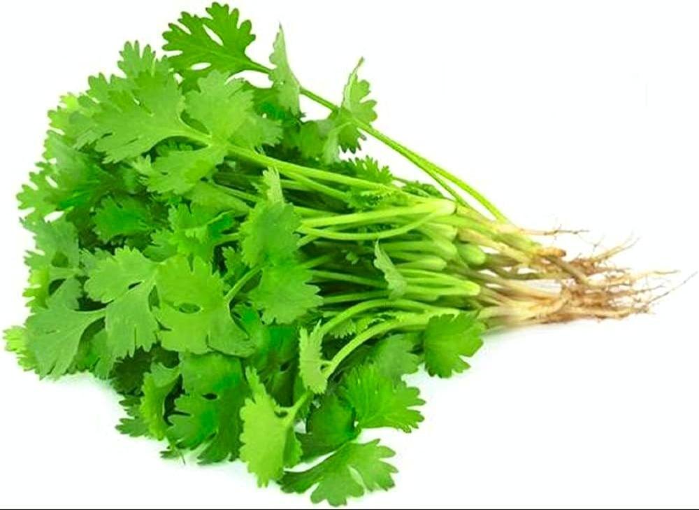 Coriander Leaf