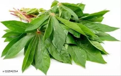 Gongura Leaves