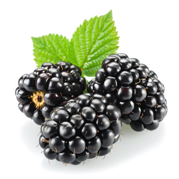 Black Berry