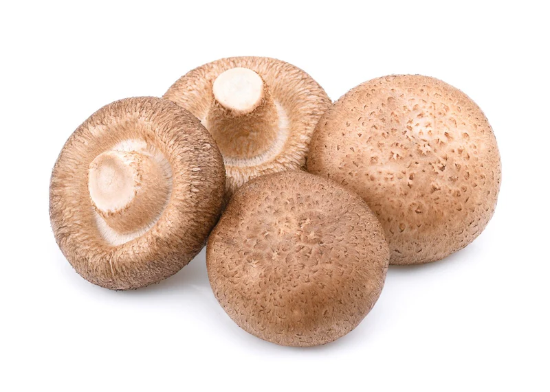 Shiitake Mushroom