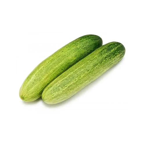 Cucumber