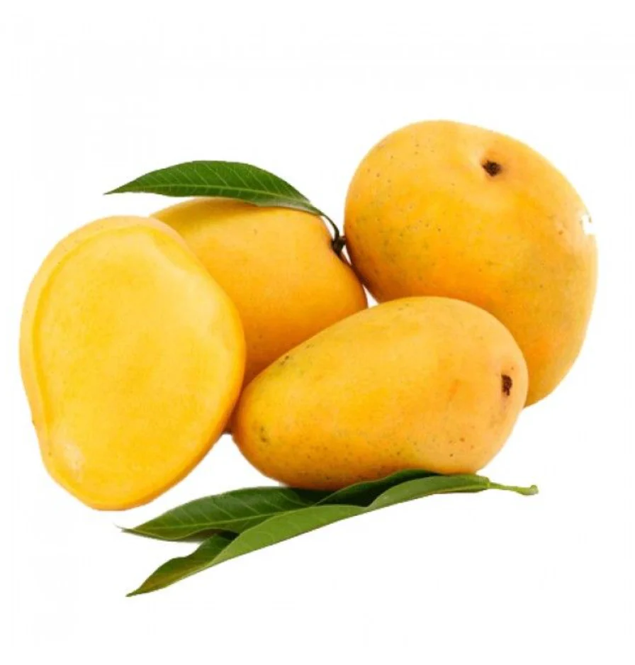 Alphonso Mango