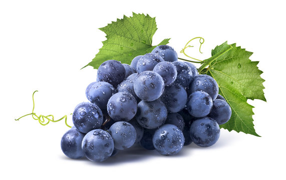 Purple Grapes