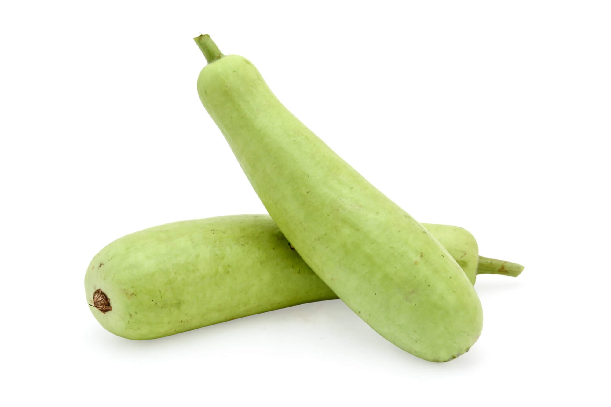 Bottle Gourd