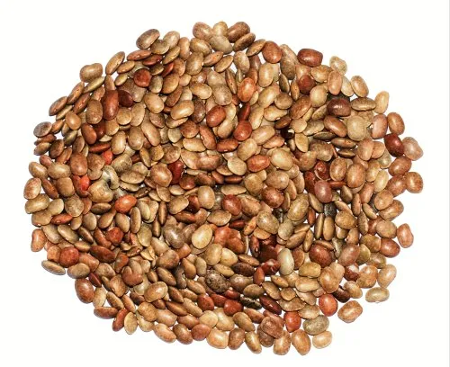 Kulthi Dal (Horse Gram)