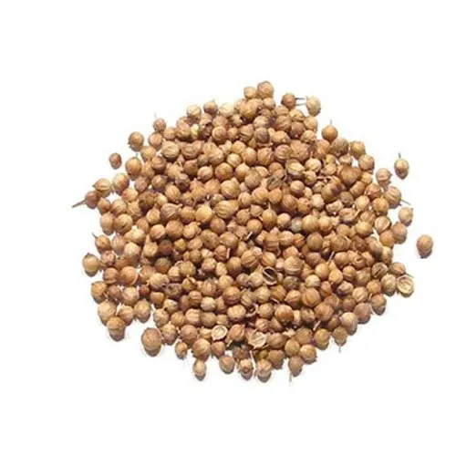 Coriander Seeds